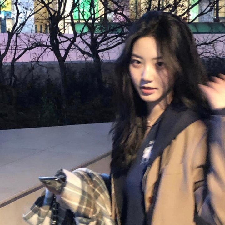 长颈鹿扎拉法